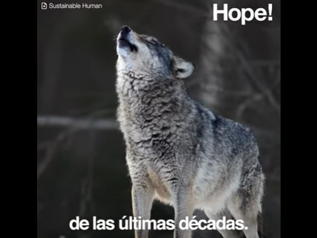 22 de mayo por la Biodiversidad