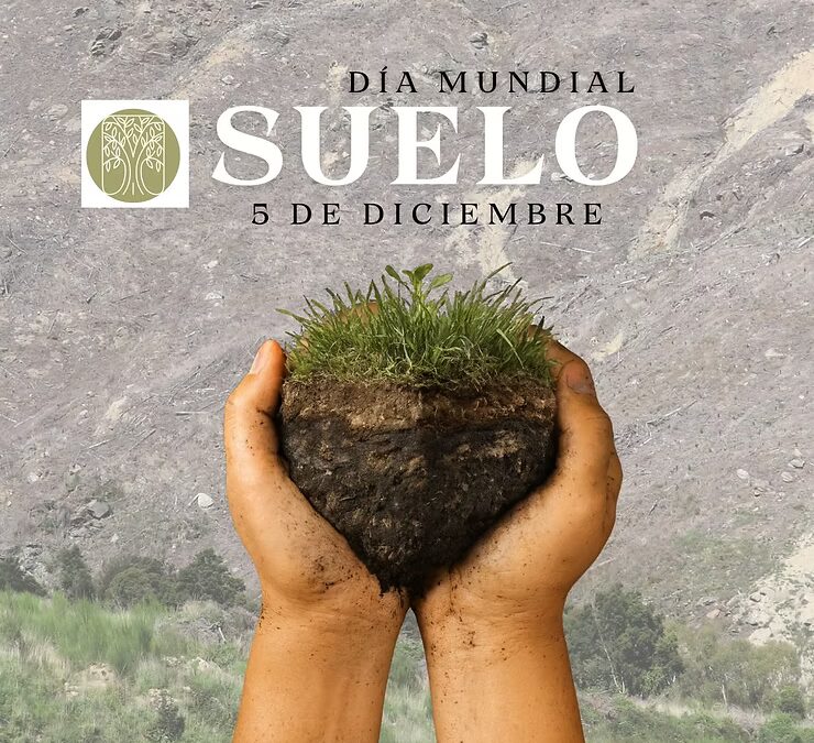 Día Internacional del Suelo: Clave para la Mitigación del Cambio Climático y las Políticas Ambientales Sostenibles