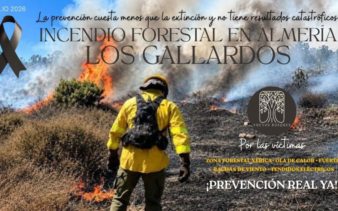 Cronología de un desastre anunciado