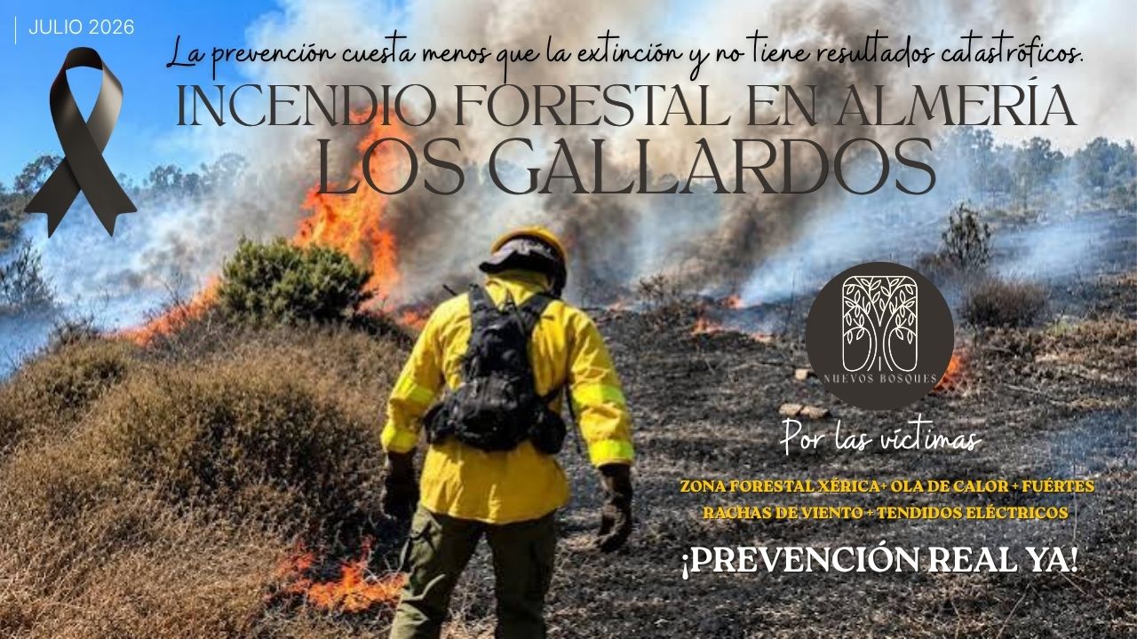 Cronología de un desastre anunciado